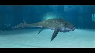Was the Simpsons moon fish and now!!! tope shark!!! die in minecraft!!!!! #minecraft 