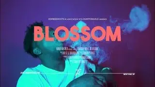 no.17 - Blossom (feat. THIIIRDWAVE) Official Music Video