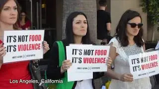 DxE is Anti-Vegan: they lied about it, and it still matters.