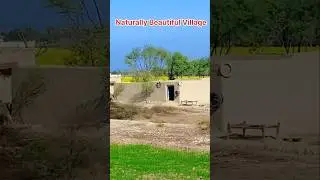 Naturally Beautiful Village । #90ssongs #nature #song #villagelife