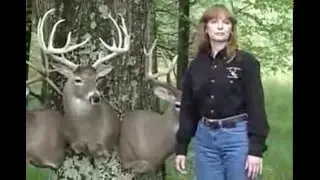 Rocky Branch Outfitters - Southern Illinois Trophy Whitetails
