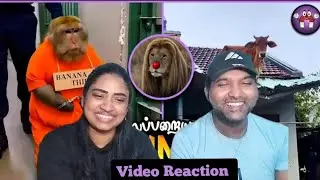 தரமான விலங்கு சம்பவங்கள் 🤣🐕😝😄| Magnet Family 2.0 Video Reaction | Tamil Couple Reaction