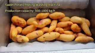 Sweet Potato Peeling Washing Machine