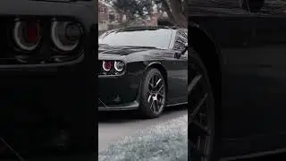 Mustang attitude status 🥵 #mustang #shorts #supercars #short