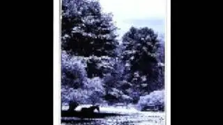 Blue Christmas - Steve Corneliussen 2008