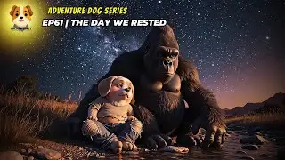 Adventure Dog Series – EP61| The Day We Rested