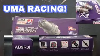 CHANGING TO UMA RACING SARKPLUG (AB931)