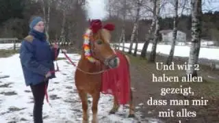 Matthias - ein missverstandenes Pony erzählt