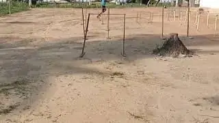 Bambang linggis latihan