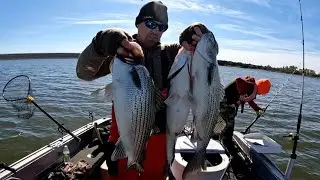 Freezing temps didn't stop the bite | Winter Hybrid Bass/Wiper and White Bass Fishing | Fishing Tips