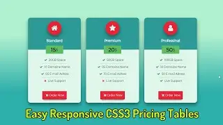 Awesome responsive pricing table using only HTML and CSS - make pricing table - Pure CSS Tutorials