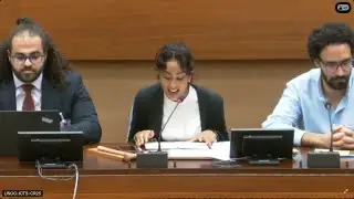 Freedom of Expression in Egypt: UNHRC Side Event