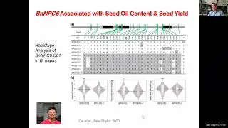 Improving Plant Oil Production: Unraveling molecular connections, circadian clock & lipid metabolism