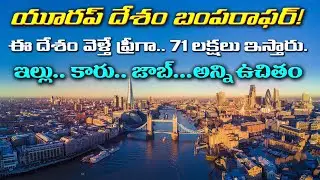 Europe Country Ireland Will Pay People 71 Lakh Rupees To Move There | Moving to Ireland