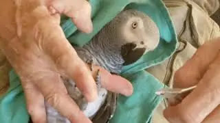 nail time