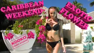 Caribbean Weekend: Exotic Flower || Fashion Music Video