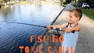 VLOG 4 Fishing the Ala Wai Canal