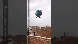 kite flying Basant Moments #kiteflying #basant2024 #basantfestival #basant #kite