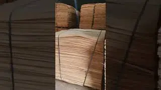 Eucalyptus Core Veneer Vietnam