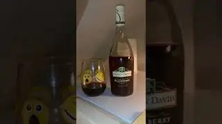 MOGEN DAVID WINE REVIEW! $5.99 SWEET RED!
