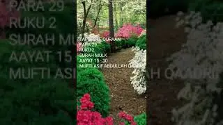 💫🕋TAFSEER E QURAAN , PARA-29 ,  RUKU-2, SURAH - MULK- AAYAT [ 15- 30]