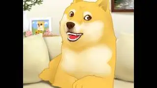 such doge!