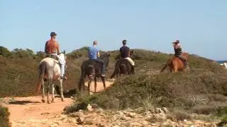 Menorca, May 2017, Cami de Cavalls: watching the horses go by.