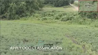 Out Of Distribution (OOD) Classification