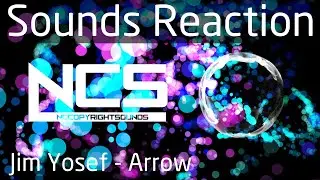 [RELAX-Image-Music] Jim Yosef = Arrow 'NCS Release' Vortex F5 V133