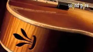 Buscarino - Monarch Archtop Guitar - Demo & Review