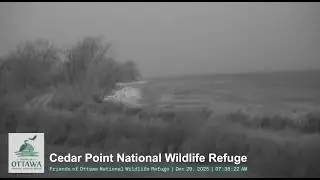 Lake Erie Seiche Alert | Cedar Point National Wildlife Refuge, Oregon, Ohio