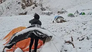 Best Life in A Himalayan Gold harvest During The Snowfall and Rainy Day|Most peaceful Relaxing video