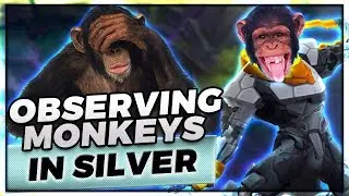 OBSERVING THE MINDS OF SILVER PLAYERS! | SILVER MASTER YI SPECTATE - Trick2G