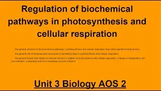 Unit 3 AOS 2 Biology: Regulation of Biochemical pathways & Enzymes