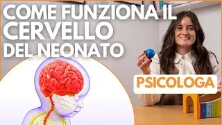 COME FUNZIONA il CERVELLO del NEONATO e del BAMBINO durante lo SVILUPPO PSICOMOTORIO e COGNITIVO