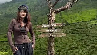 wonosobo dan teman-teman
