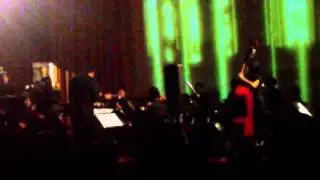 Animatissimo No Seintos - Finish- Under the Wood of the 'World Tree'