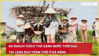 Du kh&aacute;ch th&iacute;ch th&uacute; g&aacute;nh nước tưới rau tại l&agrave;ng rau trăm tuổi ở Đ&agrave; Nẵng| B&aacute;o Lao Động