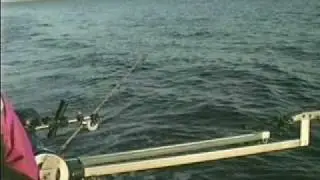 Rod Extenders Inventor Doc Thoke #shorts #cute #environment #fishing #boat #hook #reel #reels #line