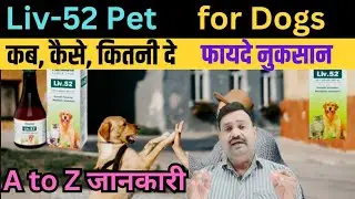 Liv 52 Dog Syrup uses in hindi👉  Liv 52 pet Liquid👍 liv 52 pet syrup👌
