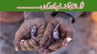 The World Is Going To Starve#Abtlk News 2021