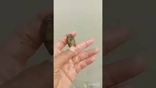 Beautiful Indus river rock #01