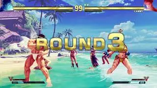 STREET FIGHTER V Ryu vs Cammy