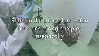 Spread Plate
