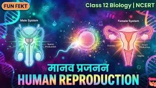 Human Reproduction | मानव प्रजनन 🧬 | FUN FEKT