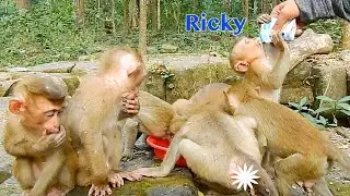Poor Baby Ricky So Happy Got Feeding Milk With All Abandoned