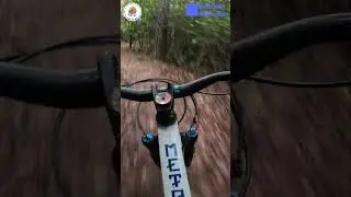 Покорение середины горы по тропе Bracken Preserve Trail в Бреварде, Северная Каролина - Поездка н...