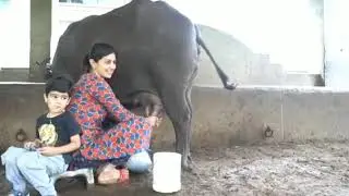 حياة الريف الجميلة
