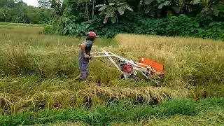 Rice Reaper. Advantages & Disadvantages. Sample computation of expenses