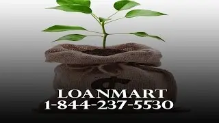 Auto Title Loan App - LoanMart App Reviews